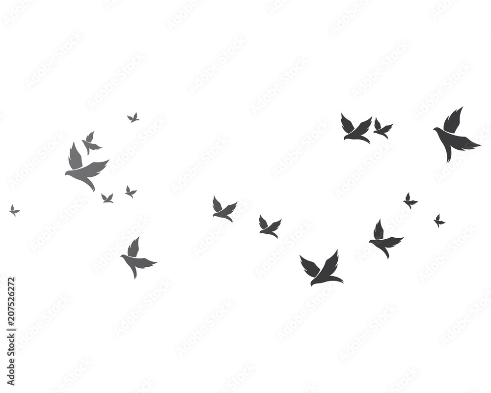 Bird background Template vector Bird background Template vector