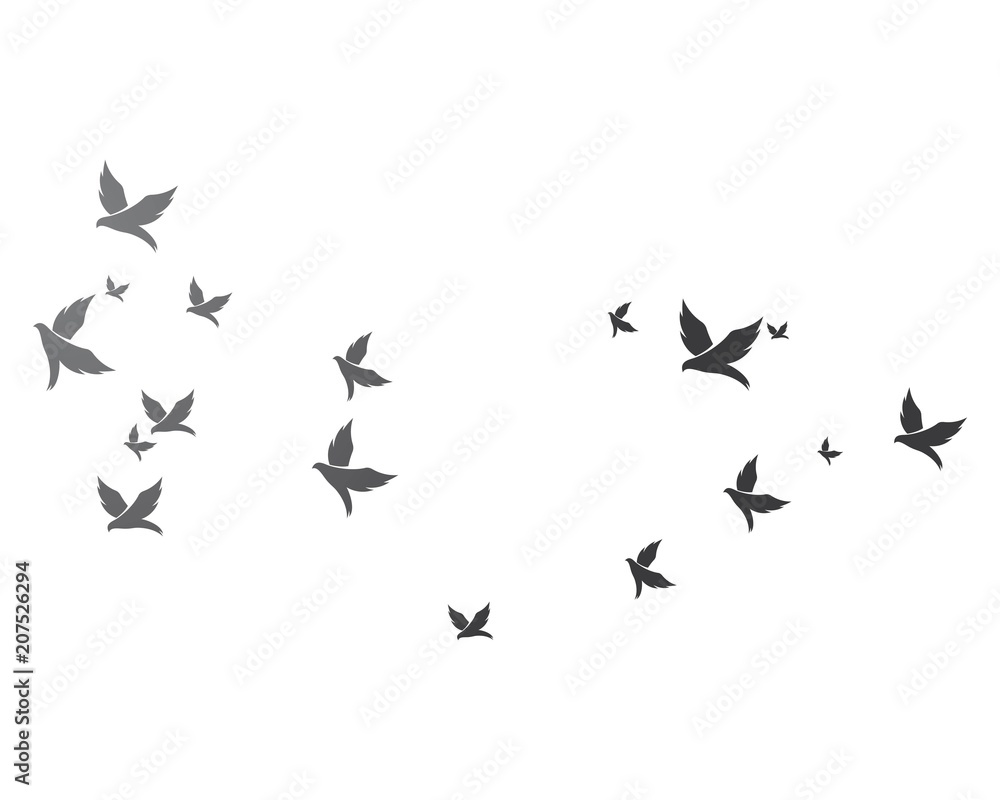 Bird background Template vector