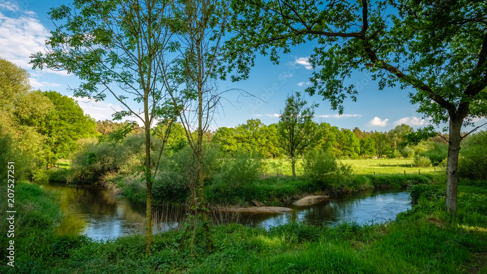 Obraz premium Typical Dutch landscape of 't Lutterzand, a forest area near the German border and a geological monument. It is characterised by the river The Dinkel that passes through and visited by many tourists.
