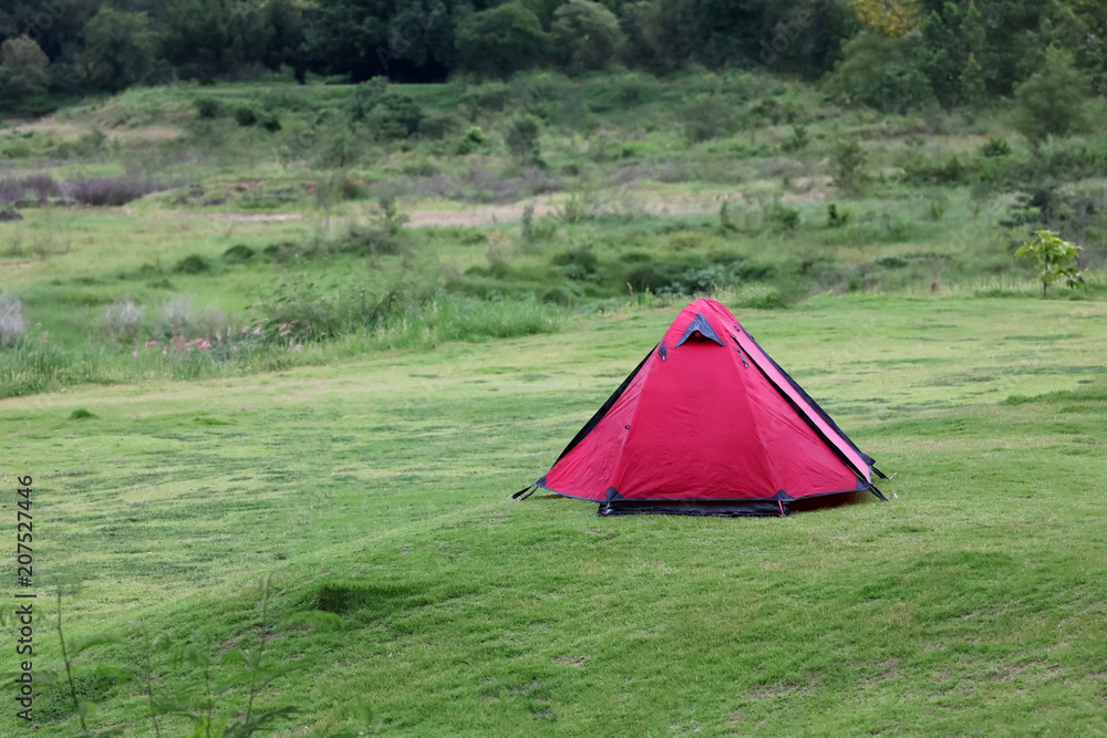 Campsite and tents on the lawn with beautiful green nature landscapes