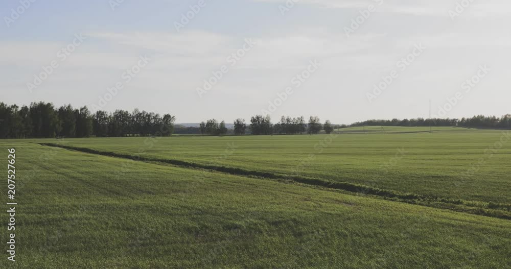Drive in the country. Summerset fields Drive in the country. Summerset fields