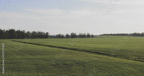 Drive in the country. Summerset fields photo