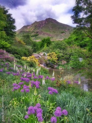 Mountain meadow garden scenery with flowers waterfall
