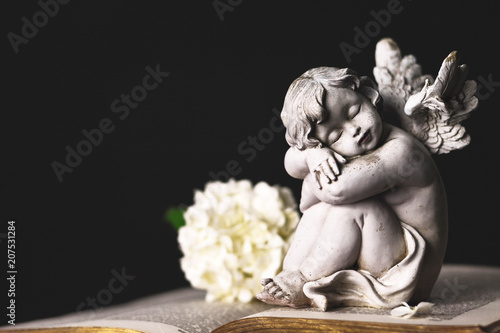 Εκτύπωση καμβά Angel and white hydrangea flower