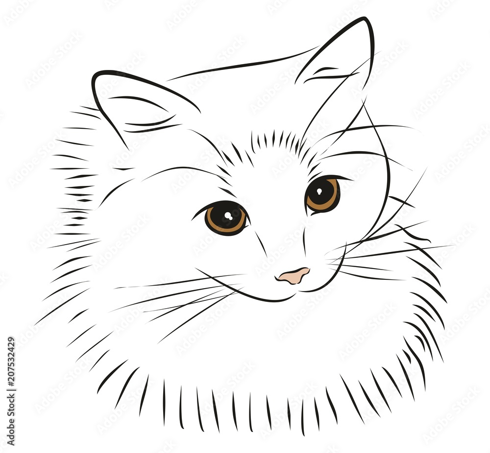 Набросок пушистого кота