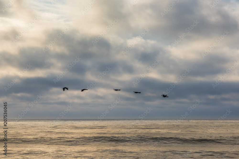 Group of silhouette geese flying over Pacific ocean in a line