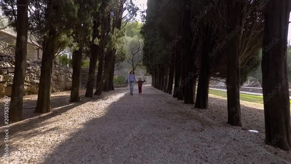 Camera Moves Backwards - Charming Mother And Son In Casual Clothes Walk Along The Avenue Of A Beautiful Summer Park With Tall Trees Camera Moves Backwards - Charming Mother And Son In Casual Clothes Walk Along The Avenue Of A Beautiful Summer Park With Tall Trees