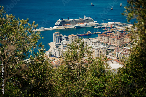 Gibraltar Harbour with some out of focus foliage in foreground viewed from the top of the Rock of Gibraltar. Photo with shallow depth of field.