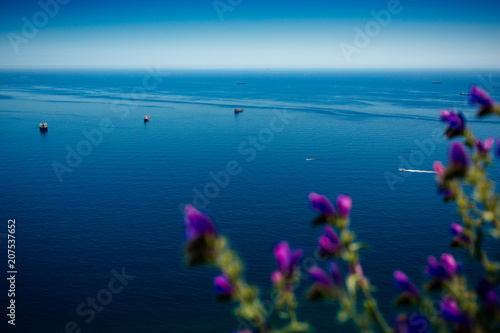 Photo of Alboran Sea with purple flowers in foreground viewed from the top of Gibraltar Rock, Gibraltar, British Overseas Territory. Picture with shallow depth of field. photo