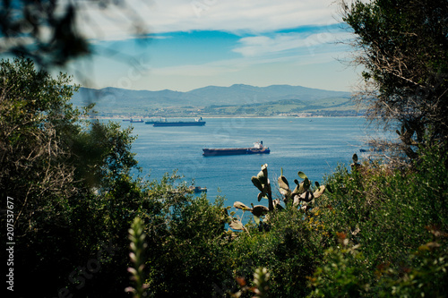 View on Bay of Gibraltar with some out of focus foliage in foreground. Photo with shallow depth of field.