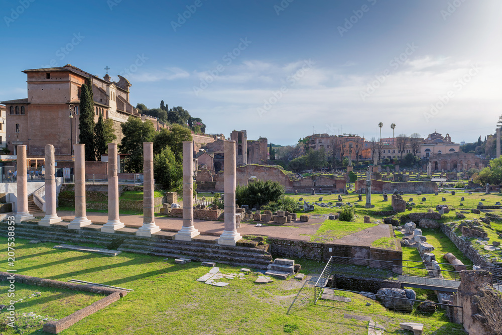 Fototapeta premium Famous Roman Forum in Rome, Italy, Roman Forum is one of the main attractions of Rome. Ancient architecture and landscape of Rome.