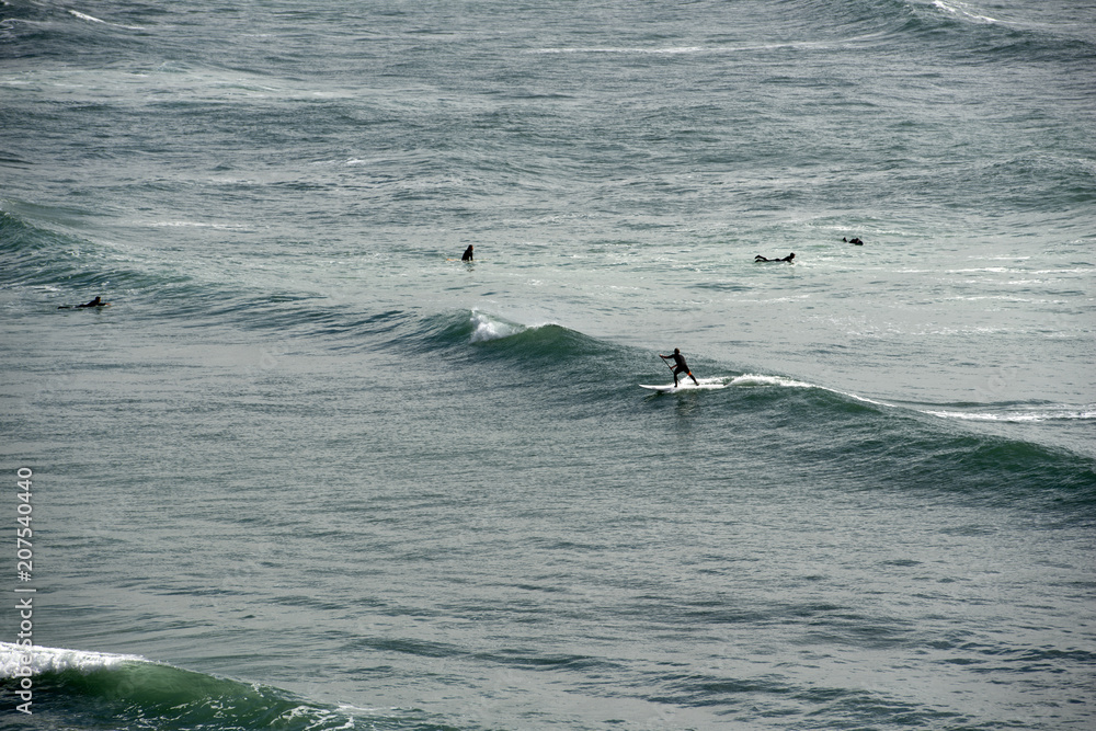 Fototapeta premium Paddle Boarder