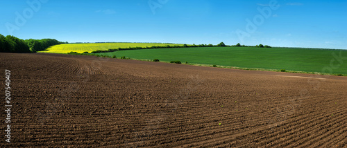 farm field lines of arable land and rapeflowerfield landscape