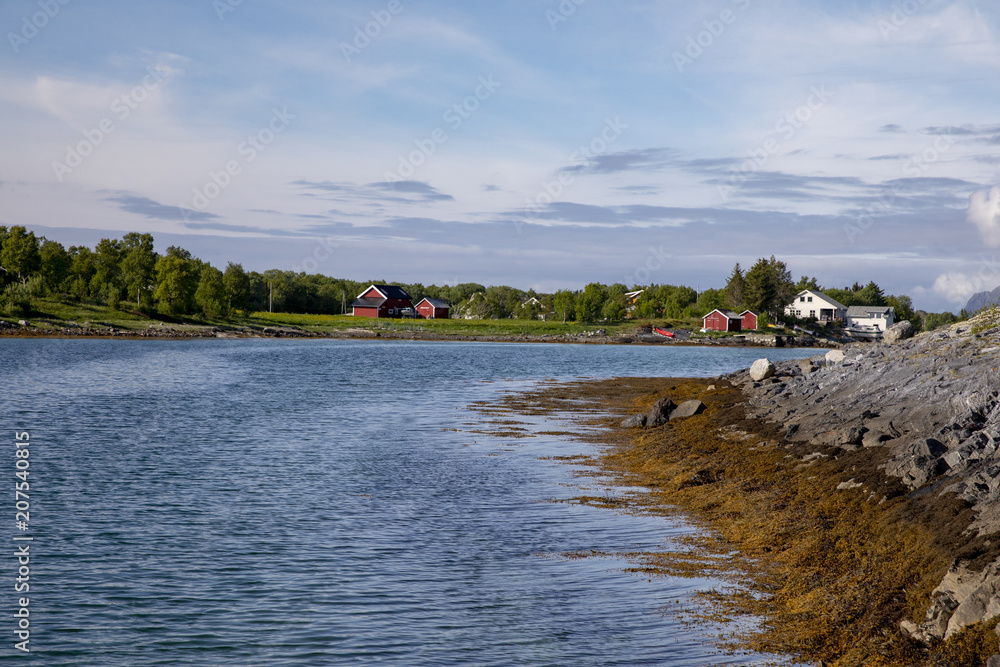 Happy Walking by seashore in Nordland county
