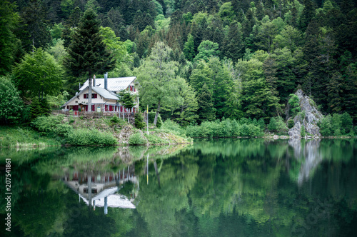 A house with red shutters. Around the house is a green forest. In front of the house is a lake.