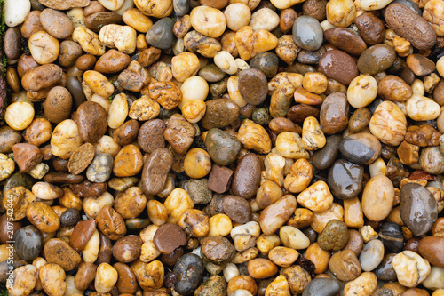 Garden floor full with small grey, yellow and brown stones, rocks and pebbles 