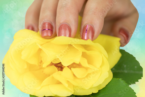 Nail design manicure decorated with a blossom from a yellow rose. Nail design pink color. Close up.