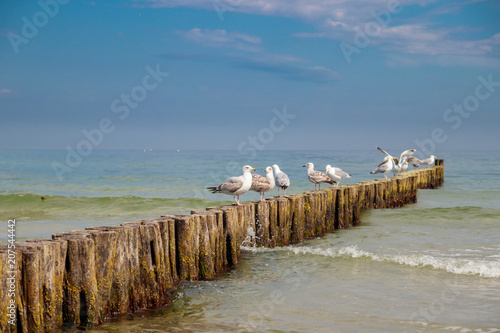 Strand bei Warnem  nde