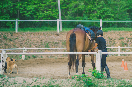 The female trainer is training the young horse for the tame in r