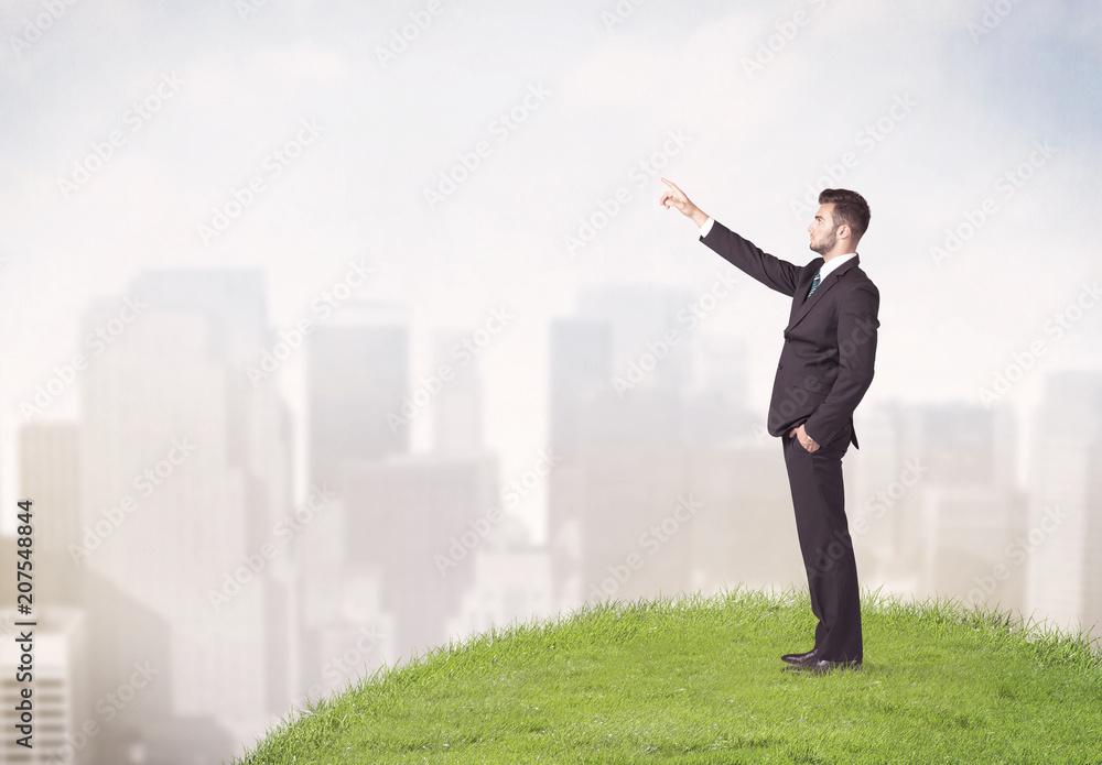A cheerful caucasian elegant sales manager standing in small green grass in front of faded city landscape, tall buildings concept. A cheerful caucasian elegant sales manager standing in small green grass in front of faded city landscape, tall buildings concept.