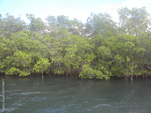 Guadeloupe