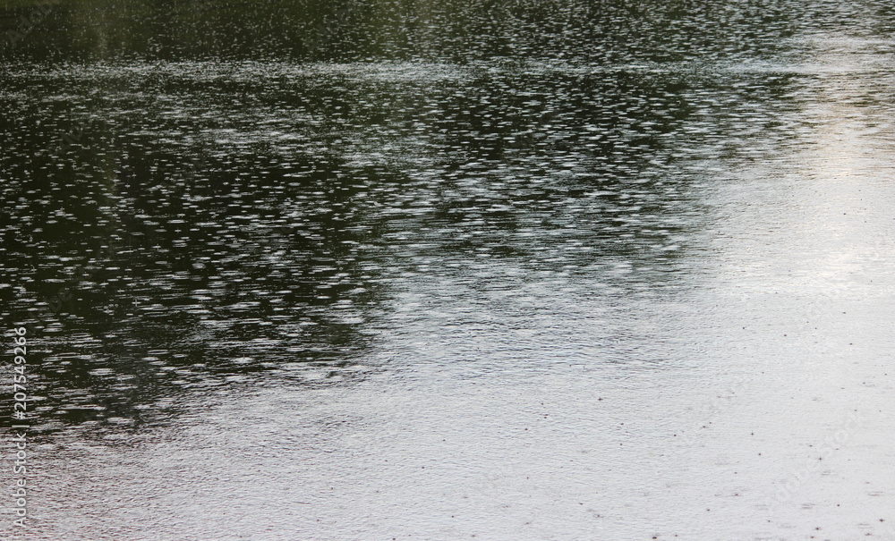 a strong summer downpour on the lake. drops of rain fall into the water a strong summer downpour on the lake. drops of rain fall into the water