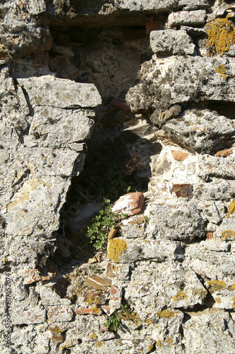 ISOLA D'ELBA