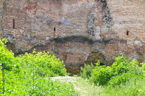 plant overgrown wall of an old castle