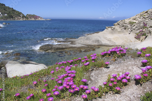 ISOLA D'ELBA