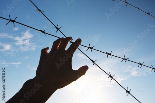 Hand of prison and sky background. photo