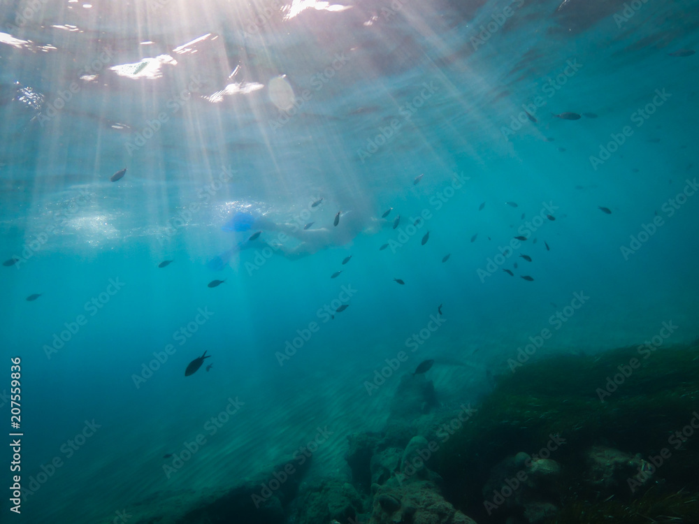 Obraz premium My Under Waterworlds