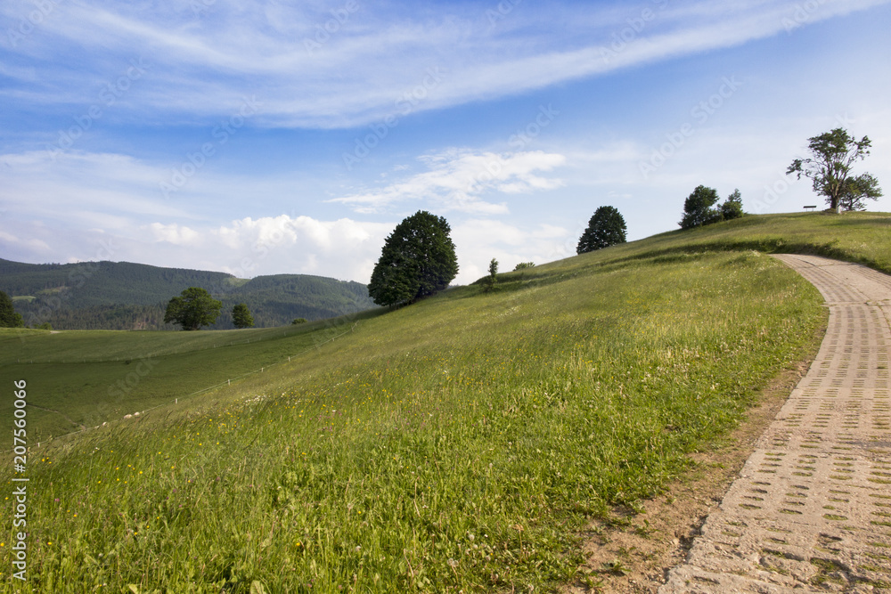 Obraz premium view of the Beskid Slaski mountains, the area of Wisła Malinka in Poland