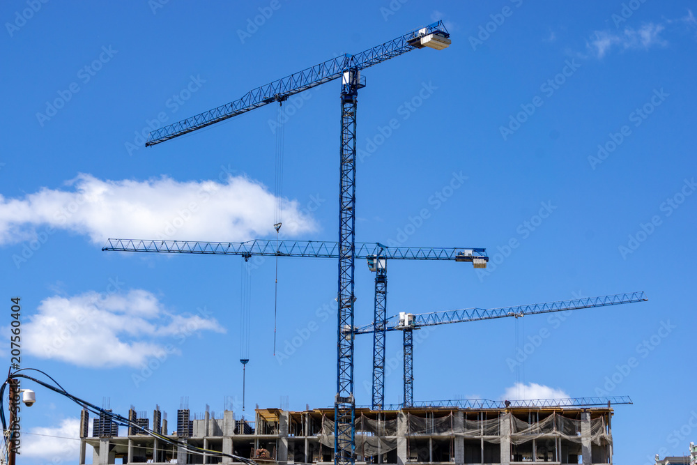cranes build a house