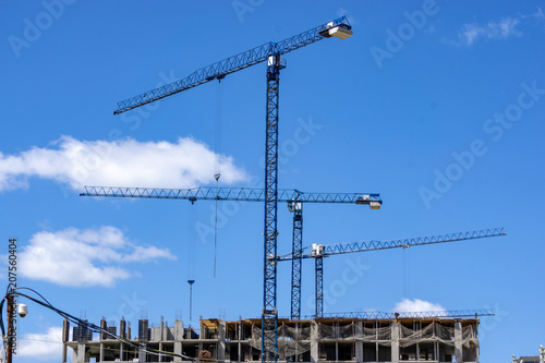 cranes build a house