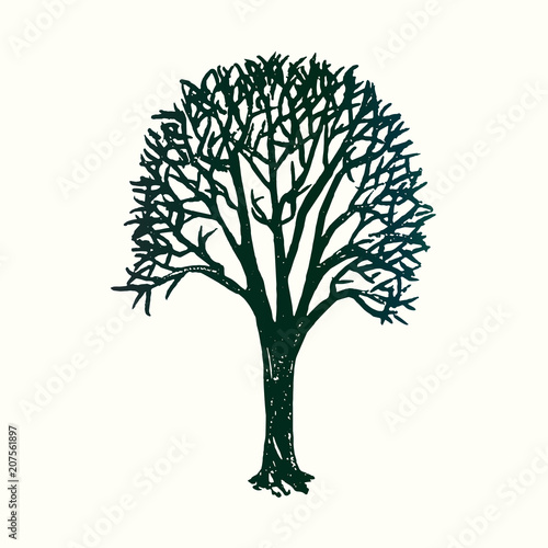 Fototapeta Naklejka Na Ścianę i Meble -  Tree silhouette, hand drawn doodle, sketch in pop art style, black and white vector illustration