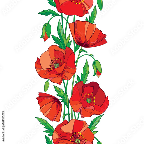Fototapeta Naklejka Na Ścianę i Meble -  Vector elegance seamless pattern with outline red Poppy flower, bud and green leaves on the white background. Vertical floral border with ornate contour poppies for summer design.