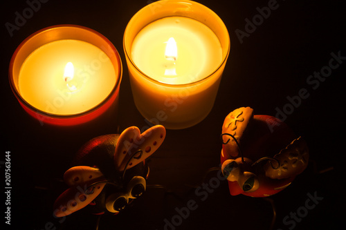 Two candles and two isects in a black frame photo