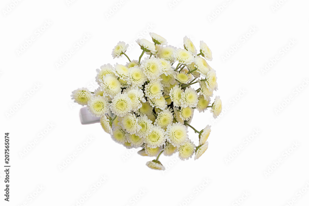 Bouquet of chrysanthemums on a white insulated background.