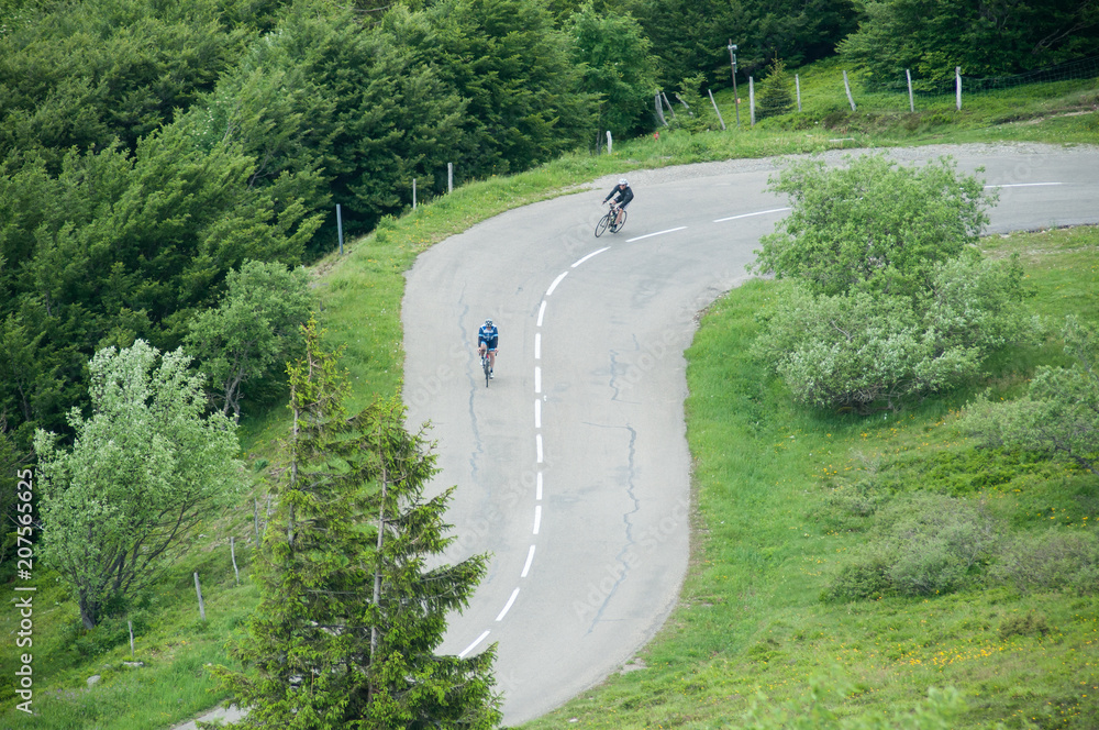 Obraz premium two cyclists in beautiful mountain laces road in top vieuw in grand ballon in Alsace