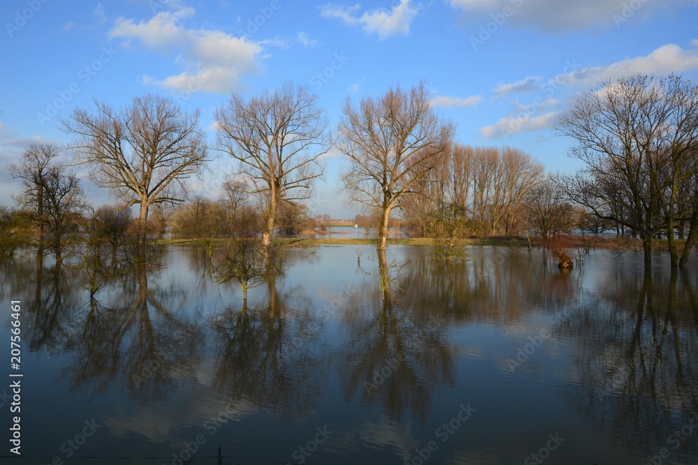 Auenlandschaft