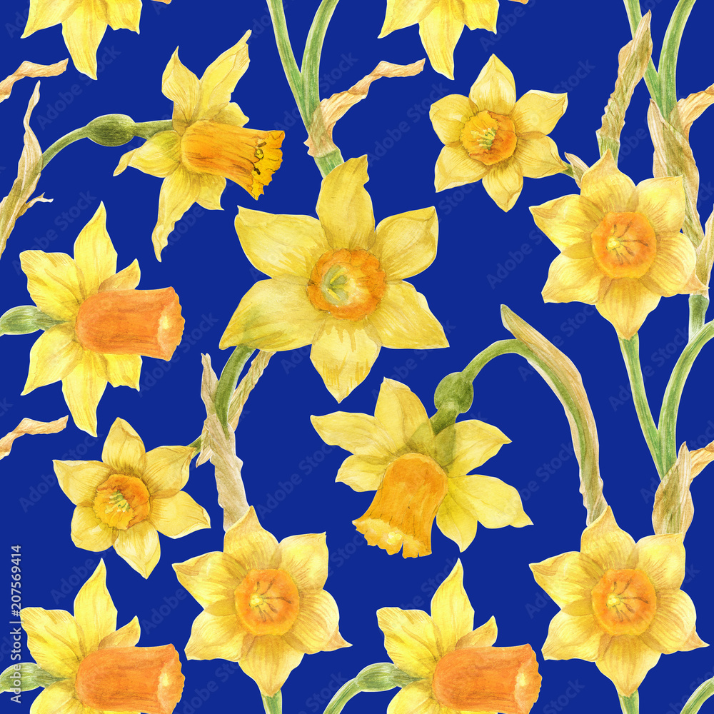 Obraz premium Watercolor botanical realistic floral pattern with narcissus
