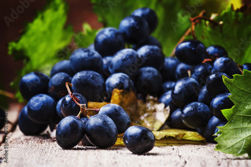 Blue wine grapes with vine and green leaves, rustic still life, vintage wooden background, selective focus