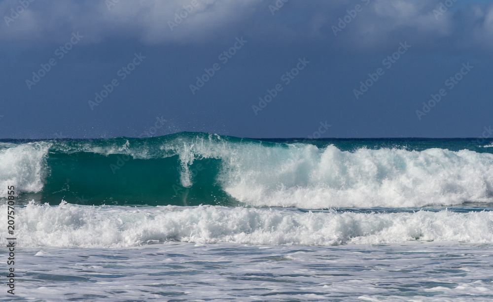 Hawaiian Waves Hawaiian Waves