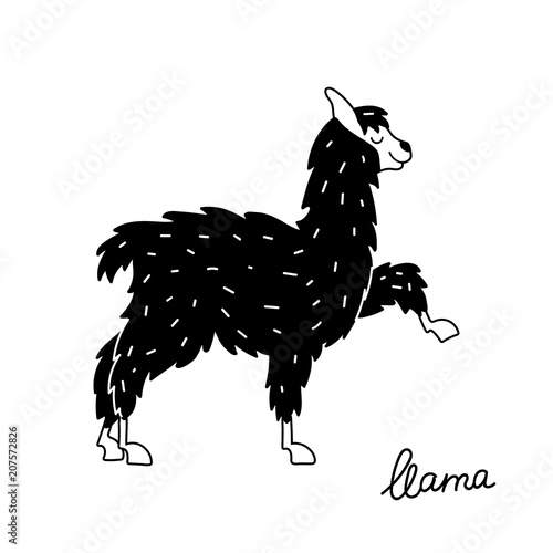 Vector illustration of cute llama
