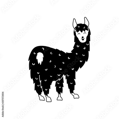 Vector illustration of cute llama