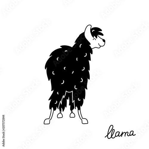 Vector illustration of cute llama