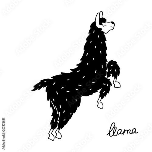 Vector illustration of cute llama