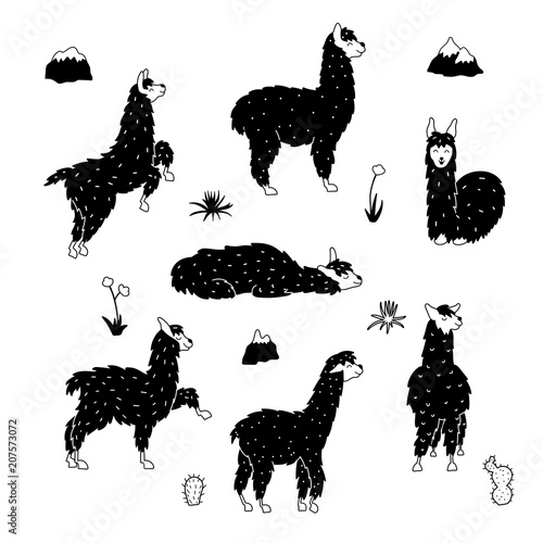 Vector set of llama, plant, flower