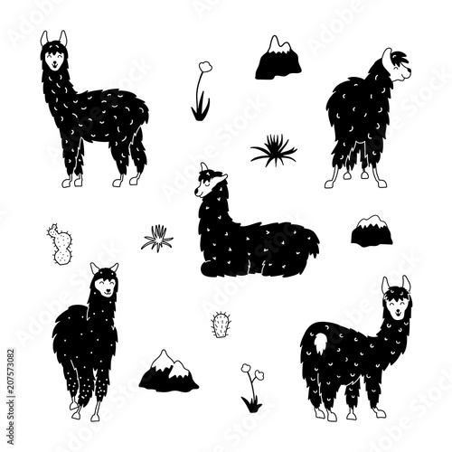 Vector set of llama, plant, flower