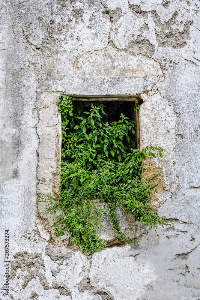Old White Wall Window